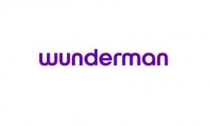 Wunderman thumb