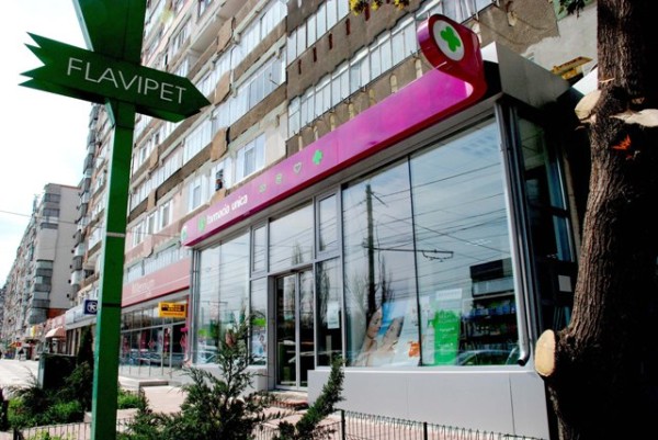 Flavipet devine Unica